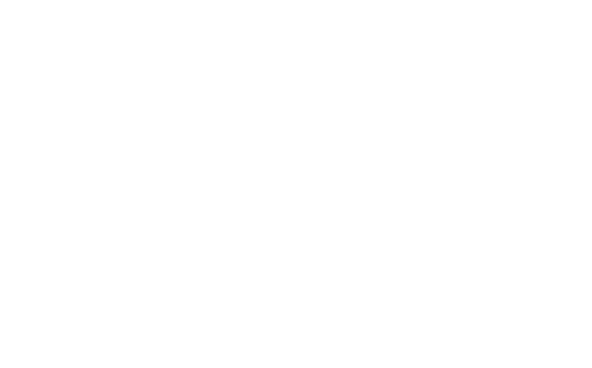 Five vertical lines that shape the letter w. Underneath in clean white text reads "the well